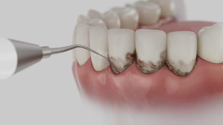 Reliable Dental contractor in Santa Cruz County County, CA by Dentist Open Now